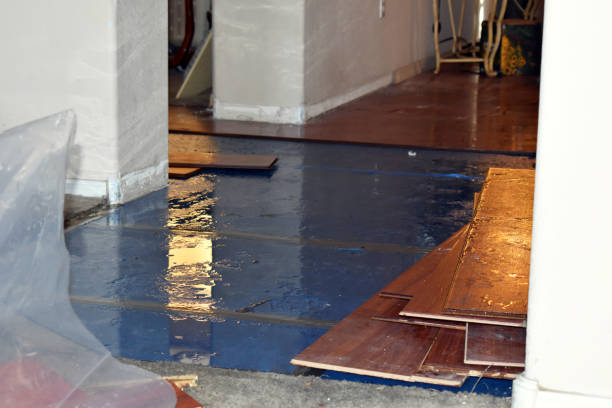 Professional Basement Flood Cleanup technician working in Kearny, NJ